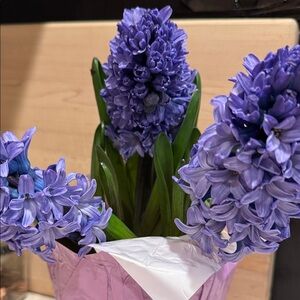 SPRING HAS SPRUNG SALE, SEE DESCRIPTION FOR DETAILS